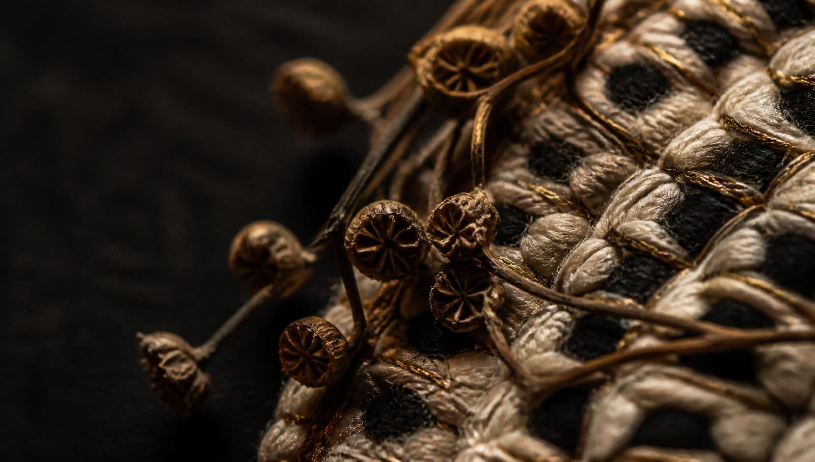 Raíces project detail 2